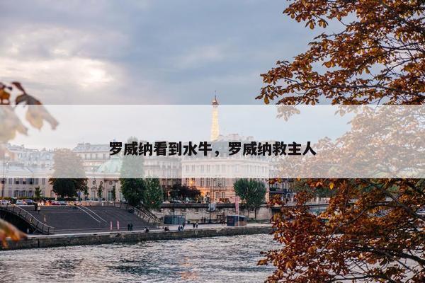 罗威纳看到水牛，罗威纳救主人