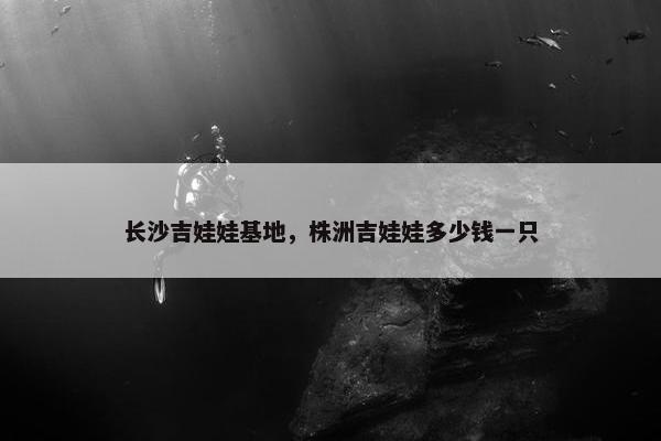 长沙吉娃娃基地，株洲吉娃娃多少钱一只