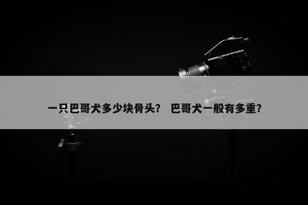 一只巴哥犬多少块骨头？ 巴哥犬一般有多重？