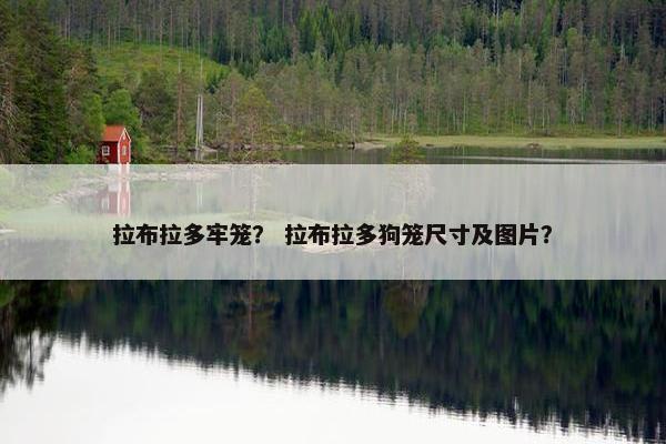 拉布拉多牢笼？ 拉布拉多狗笼尺寸及图片？