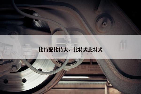 比特配比特犬，比特犬比特犬