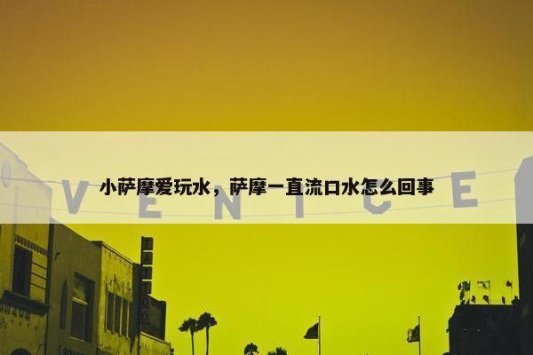小萨摩爱玩水，萨摩一直流口水怎么回事