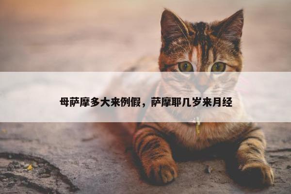 母萨摩多大来例假，萨摩耶几岁来月经