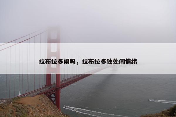 拉布拉多闹吗，拉布拉多独处闹情绪