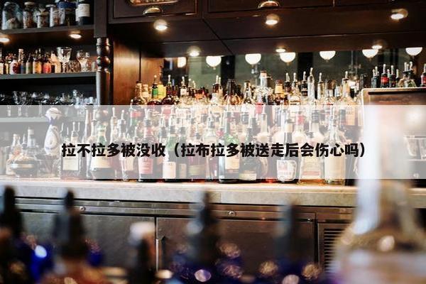 拉不拉多被没收（拉布拉多被送走后会伤心吗）