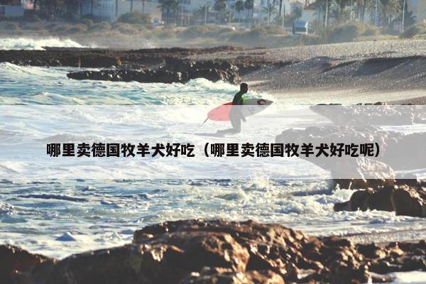 哪里卖德国牧羊犬好吃（哪里卖德国牧羊犬好吃呢）