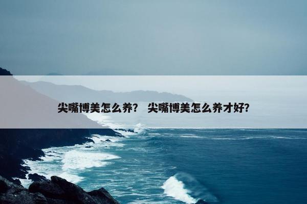 尖嘴博美怎么养？ 尖嘴博美怎么养才好？