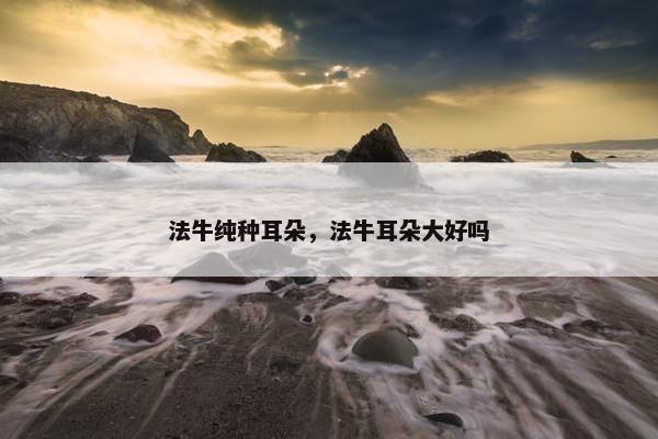 法牛纯种耳朵，法牛耳朵大好吗