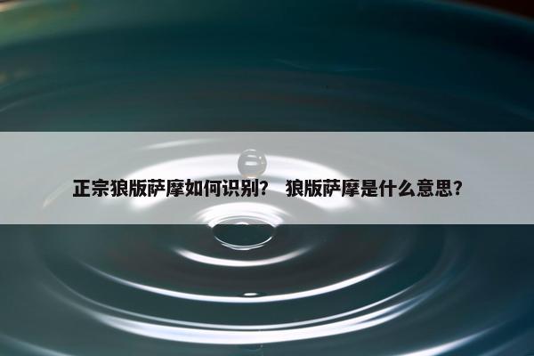 正宗狼版萨摩如何识别？ 狼版萨摩是什么意思？