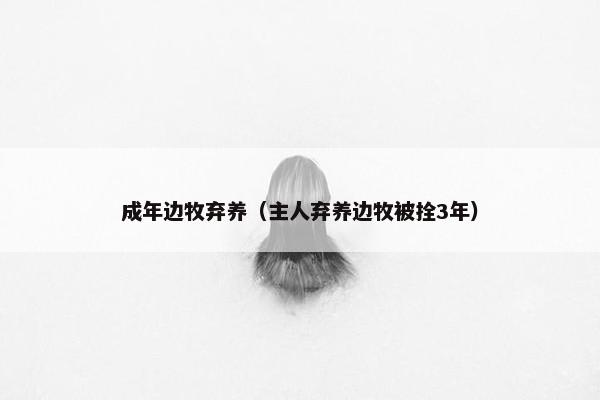 成年边牧弃养（主人弃养边牧被拴3年）