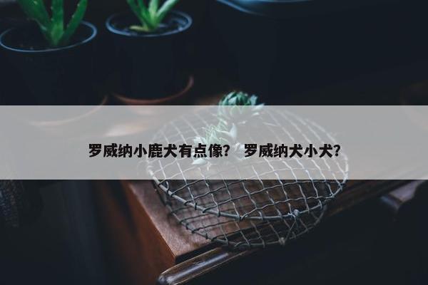 罗威纳小鹿犬有点像？ 罗威纳犬小犬？