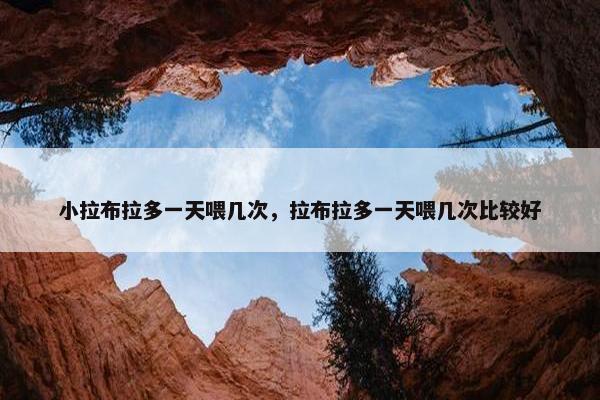 小拉布拉多一天喂几次，拉布拉多一天喂几次比较好