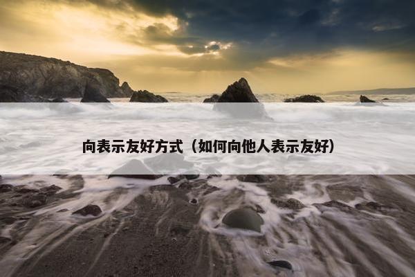 向表示友好方式（如何向他人表示友好）
