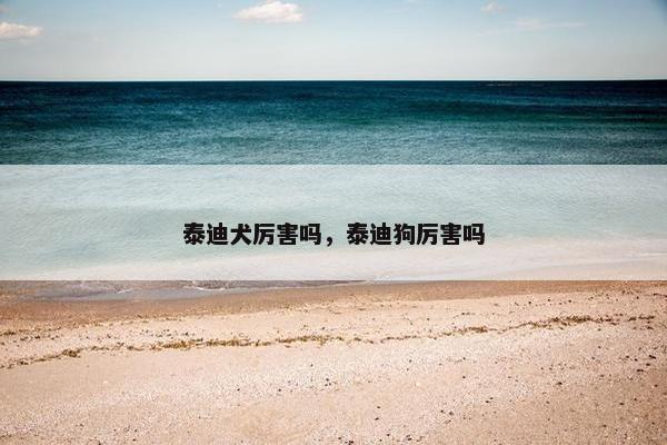 泰迪犬厉害吗，泰迪狗厉害吗