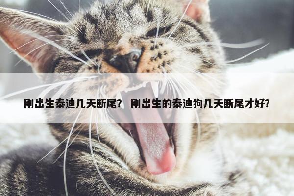 刚出生泰迪几天断尾？ 刚出生的泰迪狗几天断尾才好？