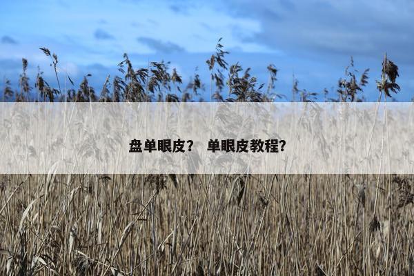 盘单眼皮？ 单眼皮教程？
