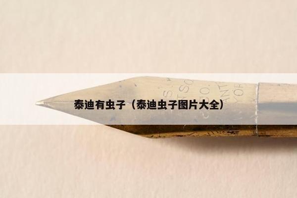 泰迪有虫子（泰迪虫子图片大全）