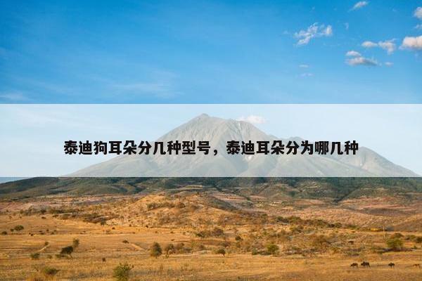泰迪狗耳朵分几种型号，泰迪耳朵分为哪几种