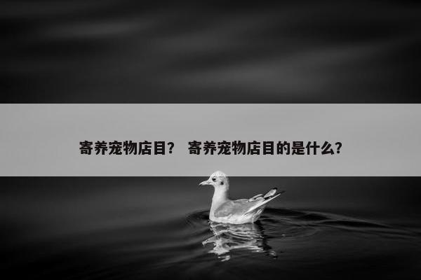 寄养宠物店目？ 寄养宠物店目的是什么？
