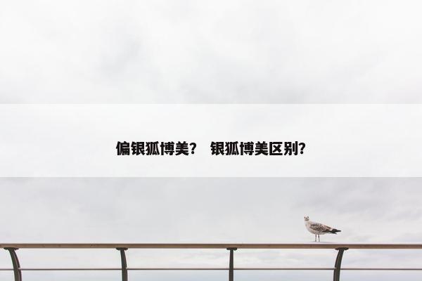 偏银狐博美？ 银狐博美区别？