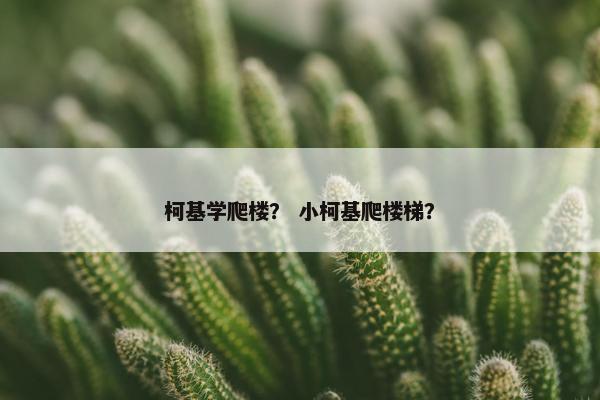 柯基学爬楼？ 小柯基爬楼梯？