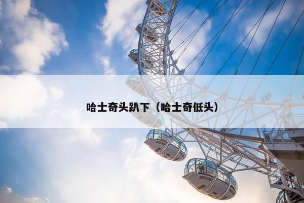 哈士奇头趴下（哈士奇低头）