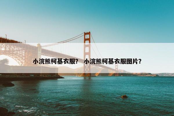 小浣熊柯基衣服？ 小浣熊柯基衣服图片？