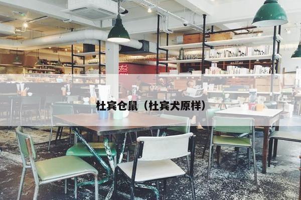 杜宾仓鼠（杜宾犬原样）