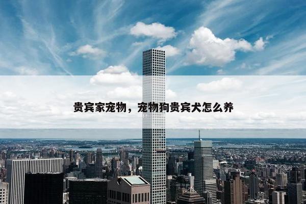 贵宾家宠物，宠物狗贵宾犬怎么养