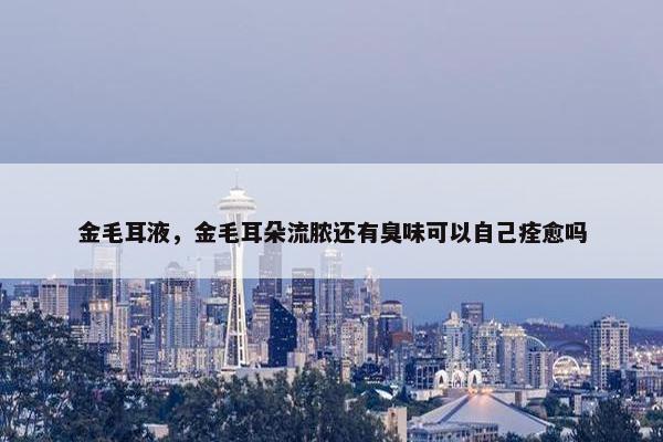 金毛耳液，金毛耳朵流脓还有臭味可以自己痊愈吗