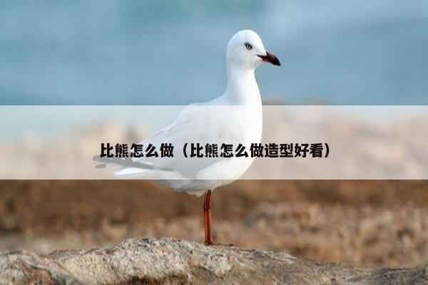 比熊怎么做（比熊怎么做造型好看）