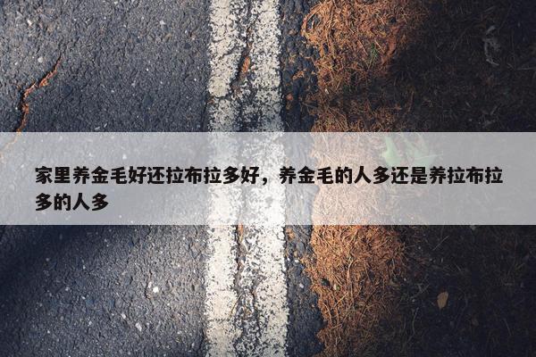 家里养金毛好还拉布拉多好，养金毛的人多还是养拉布拉多的人多