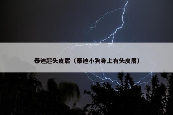 泰迪起头皮屑（泰迪小狗身上有头皮屑）