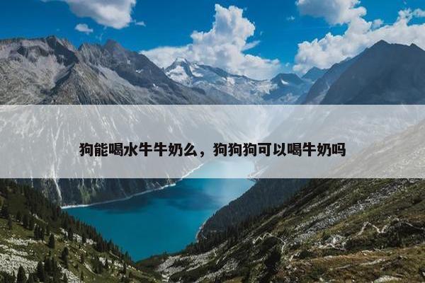 狗能喝水牛牛奶么，狗狗狗可以喝牛奶吗