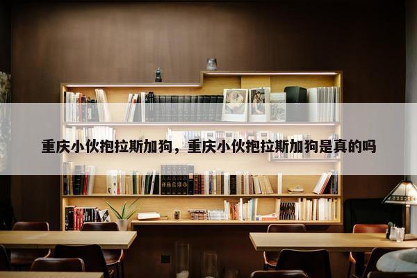 重庆小伙抱拉斯加狗，重庆小伙抱拉斯加狗是真的吗
