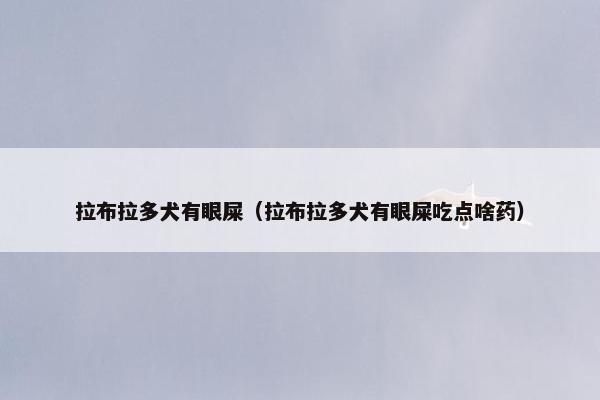 拉布拉多犬有眼屎（拉布拉多犬有眼屎吃点啥药）