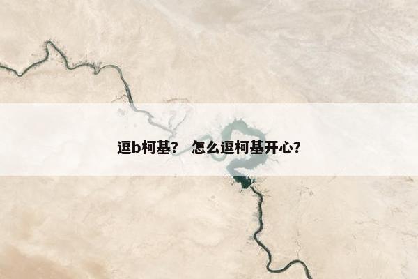 逗b柯基？ 怎么逗柯基开心？