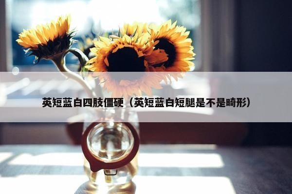 英短蓝白四肢僵硬（英短蓝白短腿是不是畸形）
