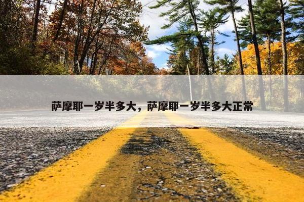 萨摩耶一岁半多大，萨摩耶一岁半多大正常
