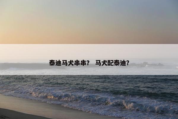 泰迪马犬串串？ 马犬配泰迪？