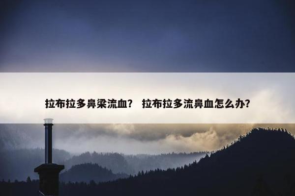 拉布拉多鼻梁流血？ 拉布拉多流鼻血怎么办？