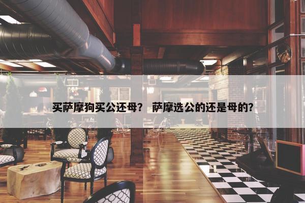 买萨摩狗买公还母？ 萨摩选公的还是母的？