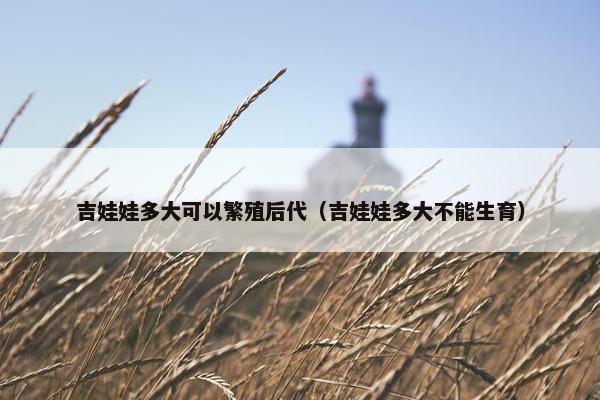 吉娃娃多大可以繁殖后代（吉娃娃多大不能生育）