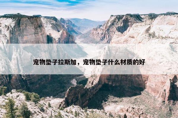 宠物垫子拉斯加，宠物垫子什么材质的好