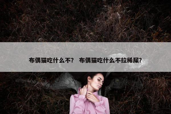 布偶猫吃什么不？ 布偶猫吃什么不拉稀屎？