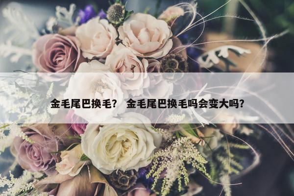 金毛尾巴换毛？ 金毛尾巴换毛吗会变大吗？