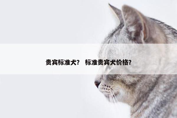 贵宾标准犬？ 标准贵宾犬价格？