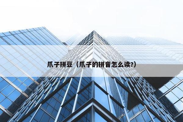 爪子拼豆（爪子的拼音怎么读?）