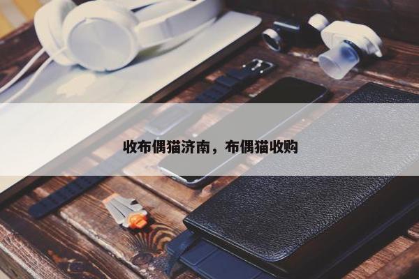 收布偶猫济南，布偶猫收购