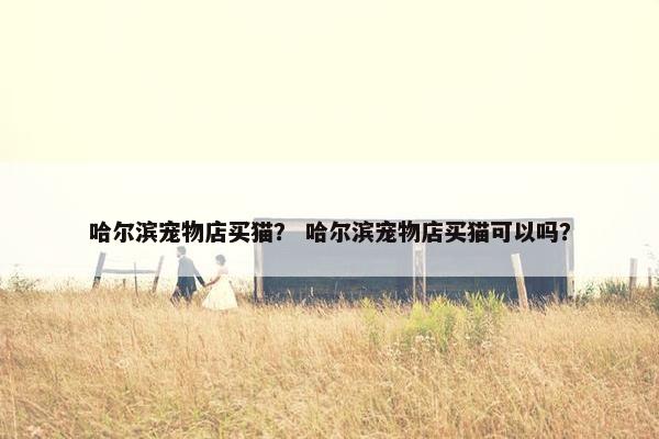 哈尔滨宠物店买猫？ 哈尔滨宠物店买猫可以吗？